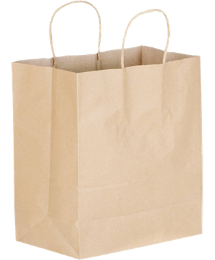 Paper Handle Bags Large (11”x 6”x11”) Kraft